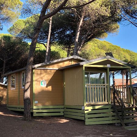 Camping La Tamarissiere Agde Εξωτερικό φωτογραφία
