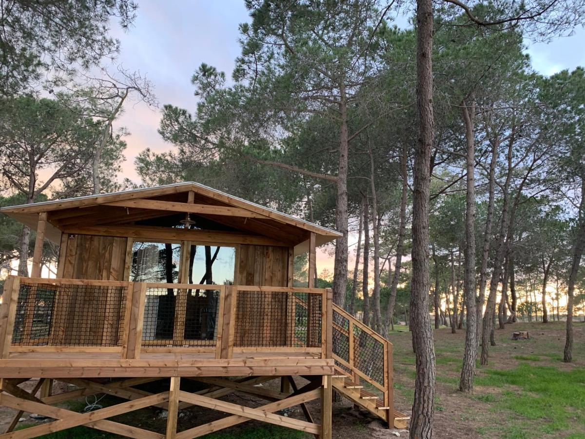 Camping La Tamarissiere Agde Εξωτερικό φωτογραφία