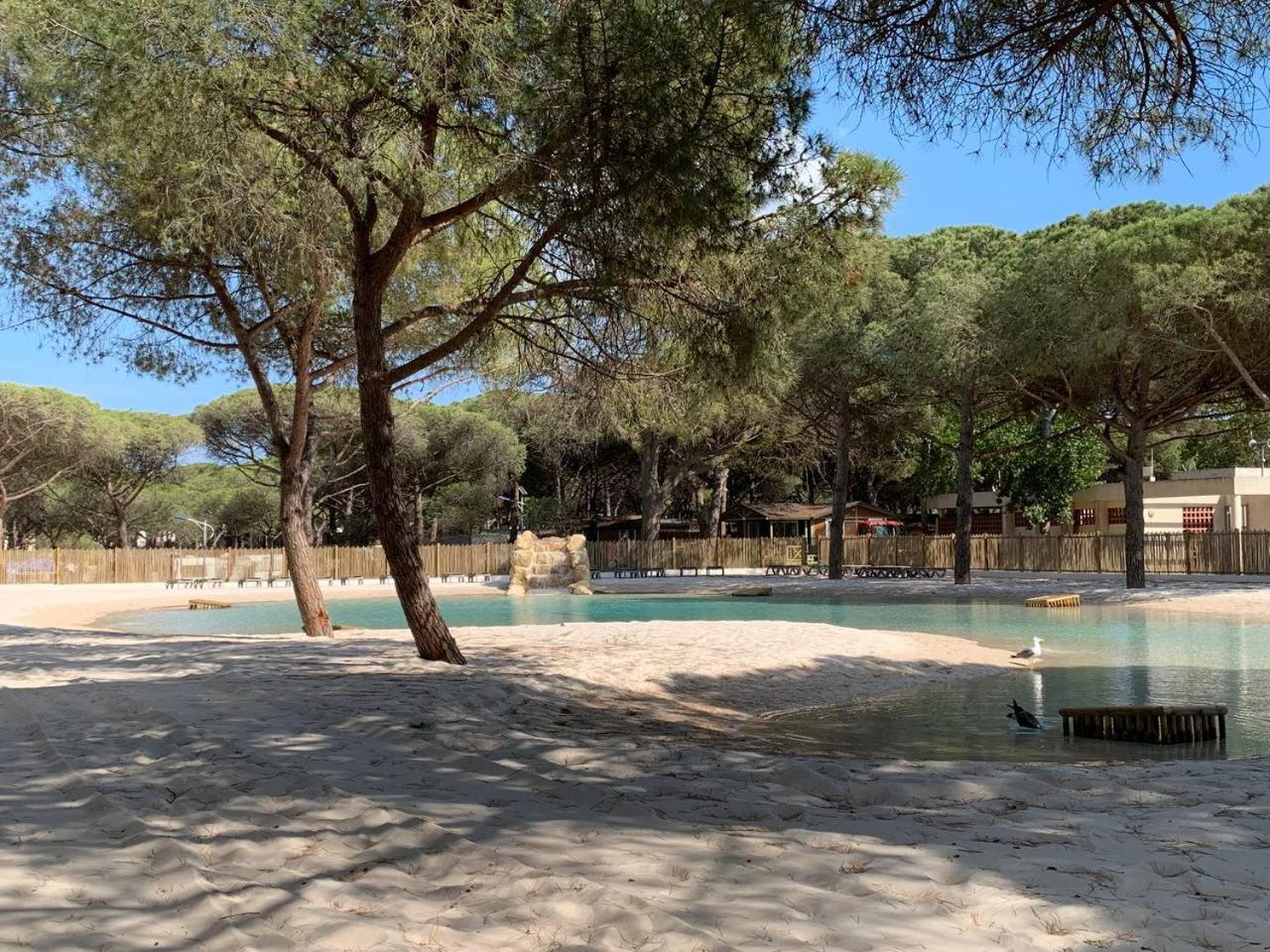 Camping La Tamarissiere Agde Εξωτερικό φωτογραφία